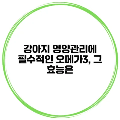 강아지 영양관리에 필수적인 오메가3, 그 효능은?