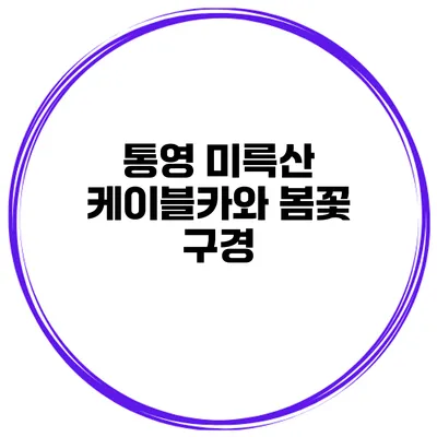 통영 미륵산 케이블카와 봄꽃 구경
